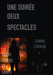 Entre chiens et loups / Comme l'oiseau : deux spectacles pour le prix d'un Lavoir Moderne Parisien Affiche