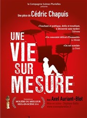 Une vie sur mesure Thtre de la Valle de l'Yerres Affiche