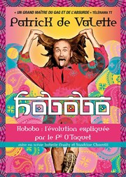 Patrick de Valette dans Hobobo Le Zygo Comdie Affiche