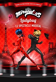 Miraculous Le Dme de Paris - Palais des sports Affiche