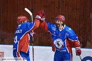 LHC : Les Lions / Strasbourg Patinoire Charlemagne Affiche