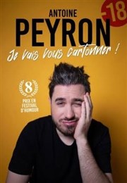 Antoine Peyron dans Je vais vous cartonner Le Pont de Singe Affiche