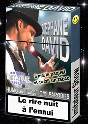 Stéphane David dans De quoi j'emmêle Le Raimu Affiche