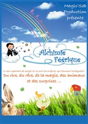 Alchimie Féérique La Cible Affiche