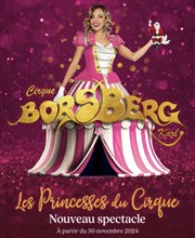 Le Cirque de Noël de Caen présente : Les Princesses du Cirque Cirque De Nol Karl Borsberg Affiche