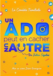 Un ado peut en cacher un autre Le Zygo Comdie Affiche