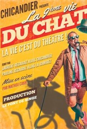 Chicandier dans La 9ème vie du chat Thtre Francine Vasse Affiche