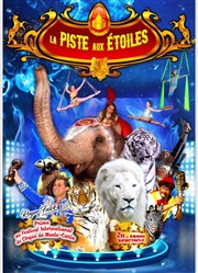 Cirque La piste aux étoiles | - Alès La piste aux toiles  Als Affiche