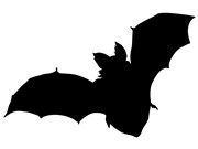 La Chauve-Souris L'Aqueduc Affiche