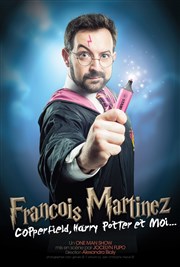 François Martinez dans Copperfield, Harry Potter et moi Les Tontons Flingueurs Affiche