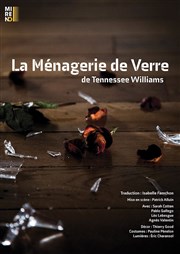 La Ménagerie de verre Thtre Essaion Affiche