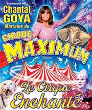 Le Cirque Maximum dans Le Cirque Enchanté | - La Tranche sur Mer Chapiteau Maximum  La Tranche sur Mer Affiche