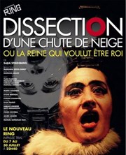 Dissection d'une chute de neige ou la Reine qui voulut être Roi Le Nouveau Ring Affiche