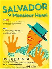 Salvador et Monsieur Henri Thtre Les Trois Soleils Affiche