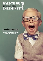 M'as-tu vu chez Les Dessous de Ginette ? Les Dessous de Ginette Affiche