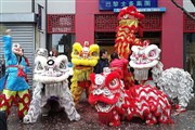 Visite de Chinatown Paris 13è, jour du Nouvel An Chinois et veille du défilé | par Miss Nguyen Tolbiac Affiche