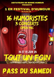 Festival Tout un foin | Pass samedi Festival Tout un foin Affiche