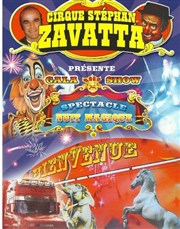 Cirque Stéphan Zavatta dans Nuit magique | - Gaillac Chapiteau Cirque Stephan Zavatta  Gaillac Affiche