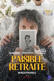 Paisible Retraite La BDComdie Affiche