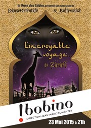 L'incroyable voyage de Zarafa Bobino Affiche