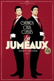 Les Jumeaux dans Grands Crus Classés Confidentiel Thtre Affiche