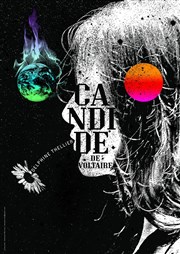 Candide Thtre Carnot Affiche