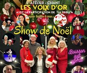 Le Show de Noël Salle Gilbert Fort Affiche