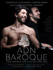 ADN Baroque Le Thtre Affiche