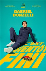 Gabriel Donzelli dans C'est bientôt fini L'Art D Affiche