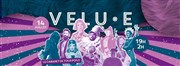 Velu.e - Cabaret de tous poils - Le Cirque Electrique Le Cirque lectrique Affiche