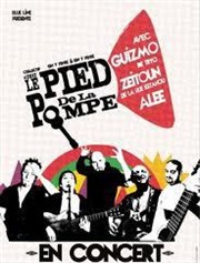 Le Pied de la pompe feat Guizmo (Tryo), Zeitoun (La Rue Ketanou) Et Alee Victoire 2 Affiche