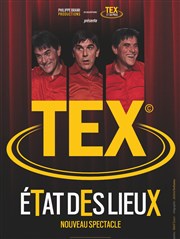 Tex dans Etat des lieux Greniers  Sel Affiche