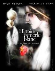 Histoire d'un merle blanc Le mouchoir de poche Affiche