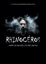 Rhinocéros Thtre de la Cit Affiche