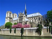 Visite guidée : L'île de la Cité. Le berceau de Paris. De la Place Dauphine à la maison d'Eloïse et Abélard | par Laurent Wittevert Pont Neuf Affiche