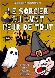 Le sorcier qui avait peur de tout Espace Montission Affiche