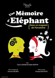 Une mémoire d'éléphant (dans un magasin de porcelaine) Comdie Nation Affiche