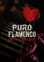 Puro Flamenco Ogresse Thtre Affiche