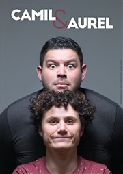 Camil et Aurel Le Complexe Caf-Thtre - salle du haut Affiche