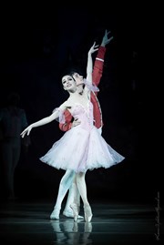 Casse-Noisette | Grand Ballet de Kiev Thtre de Brunoy Affiche