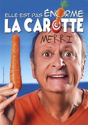 Merri dans Elle est pas énorme la carotte Thtre du Grand Pavois Affiche