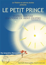 Le Petit Prince Thtre Comdie Odon Affiche