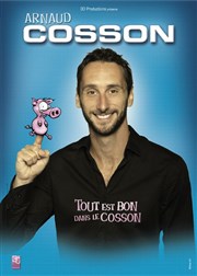 Arnaud Cosson dans Tout est bon dans le Cosson Le Paris - salle 2 Affiche