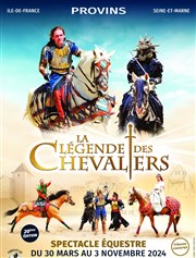 La Légende des Chevaliers La Lgende des Chevaliers - Cit Mdivale Affiche