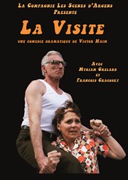 La Visite Thtre De Poche Affiche