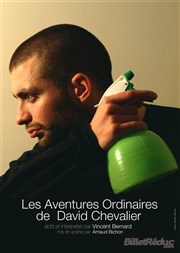 Les Aventures Ordinaires de David Chevalier Pniche Lapin Vert Affiche