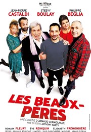 Les Beaux Pères | avec Jean-Pierre Castaldi Grand Angle Affiche