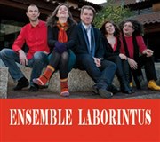 Sylvain Kassap Avec L'ensemble Laborintus Le Comptoir Affiche