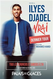 Ilyes Djadel dans Vrai Palais des Glaces - grande salle Affiche