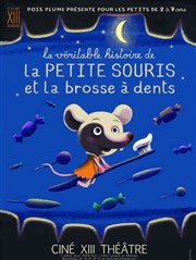 La véritable histoire de la petite souris et la brosse à dents Thtre Lepic Affiche